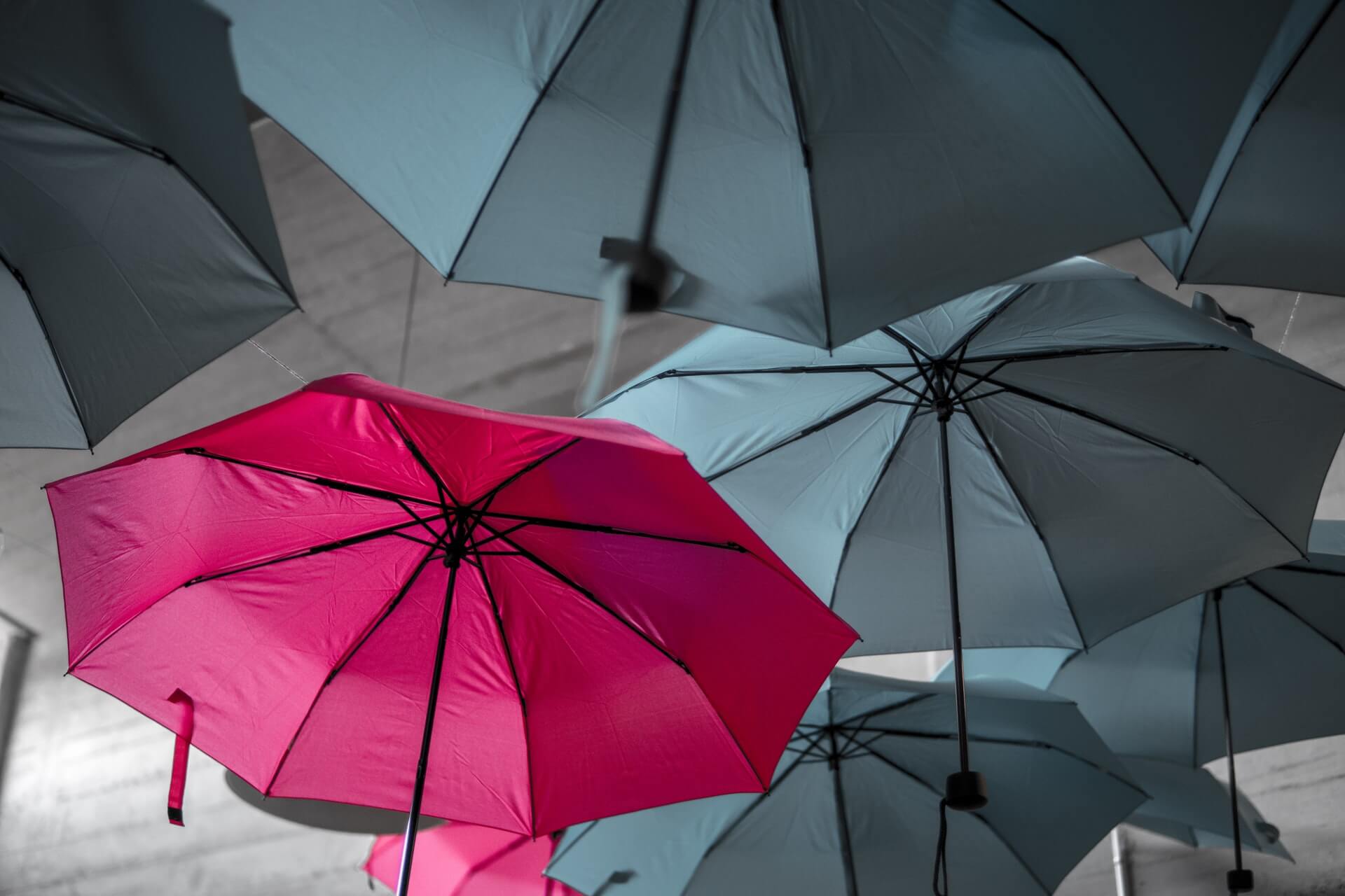 A red umbrella standing out amongst other grey umbrellas
