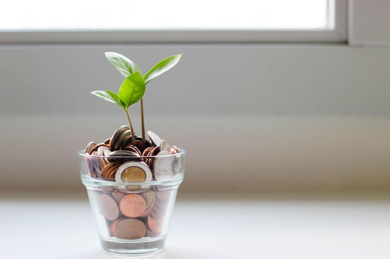 A glass full of coins and a green plant