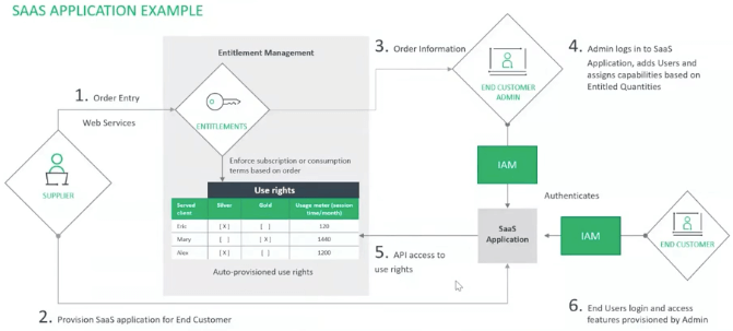 Saas licensing example